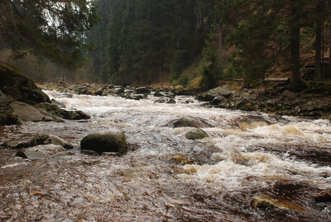 Na řece Vydře platí zvláštní režim